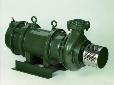 Residential pump set by Eureka Pumpsets
